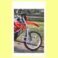 BILD VERGR&Ouml;SSERN